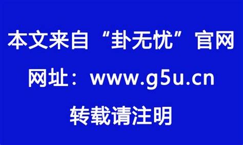 1983属猪2024年运程|1983年属猪人2024年运势及运程男，83年41岁生肖。